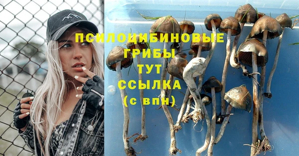 2c-b Майский