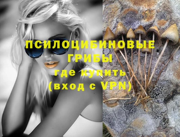 гидра Абинск